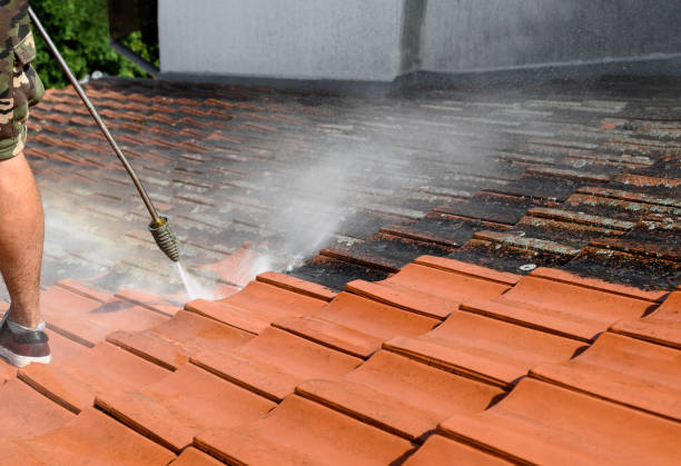 Best House Pressure Washing  in Harrison, WI